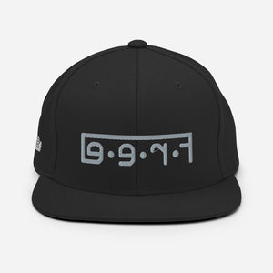 F.R.E.E. snapback hat