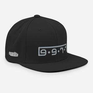 F.R.E.E. snapback hat