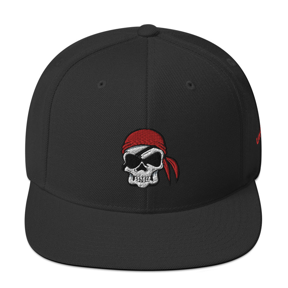 F.r.e.e. skull snapback hat